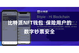 比特派NFT钱包 保险用户的数字钞票安全