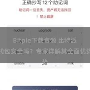 Bitpie下载资源 比特派钱包安全吗？专家详解其全面优势