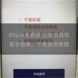 Bitpie免费版 比特派钱包新手指南：下载使用教程