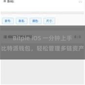 Bitpie iOS 一分钟上手比特派钱包，轻松管理多链资产