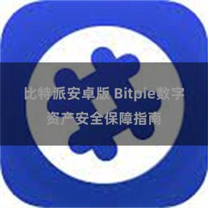 比特派安卓版 Bitpie数字资产安全保障指南