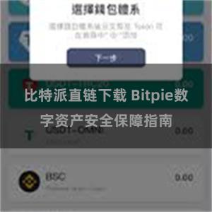 比特派直链下载 Bitpie数字资产安全保障指南