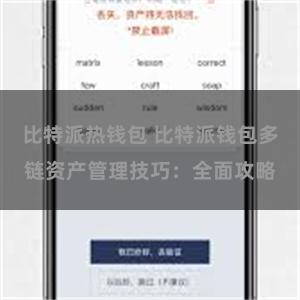 比特派热钱包 比特派钱包多链资产管理技巧：全面攻略