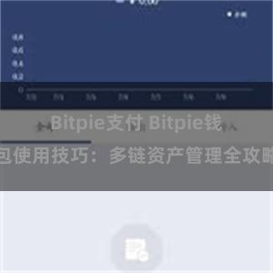 Bitpie支付 Bitpie钱包使用技巧：多链资产管理全攻略