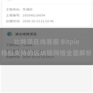 比特派在线客服 Bitpie钱包支持的区块链网络全面解析