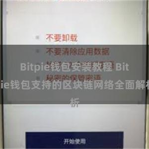 Bitpie钱包安装教程 Bitpie钱包支持的区块链网络全面解析