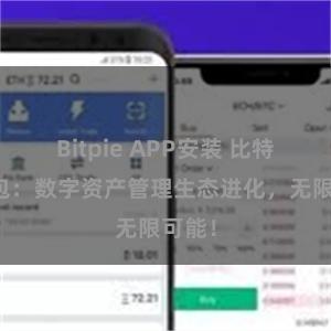 Bitpie APP安装 比特派钱包：数字资产管理生态进化，无限可能！