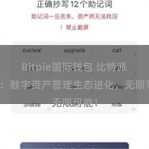 Bitpie国际钱包 比特派钱包：数字资产管理生态进化，无限可能！