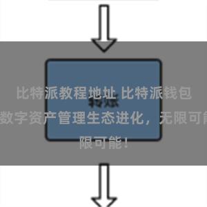 比特派教程地址 比特派钱包：数字资产管理生态进化，无限可能！