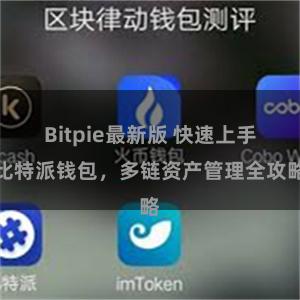 Bitpie最新版 快速上手比特派钱包，多链资产管理全攻略