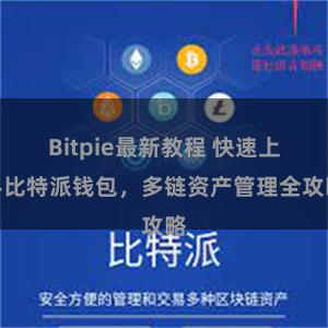 Bitpie最新教程 快速上手比特派钱包，多链资产管理全攻略