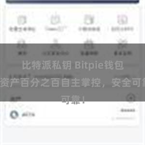 比特派私钥 Bitpie钱包：资产百分之百自主掌控，安全可靠！