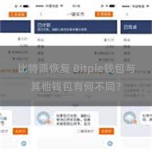 比特派恢复 Bitpie钱包与其他钱包有何不同？