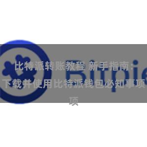 比特派转账教程 新手指南：下载并使用比特派钱包必知事项