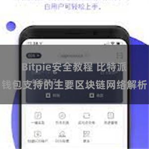 Bitpie安全教程 比特派钱包支持的主要区块链网络解析