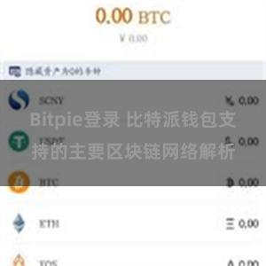 Bitpie登录 比特派钱包支持的主要区块链网络解析