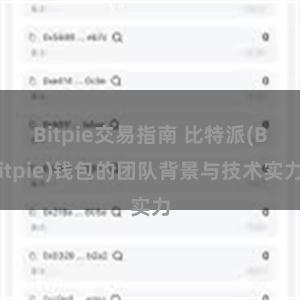 Bitpie交易指南 比特派(Bitpie)钱包的团队背景与技术实力