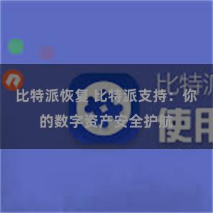 比特派恢复 比特派支持：你的数字资产安全护航