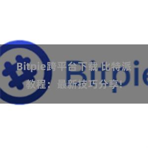 Bitpie跨平台下载 比特派教程：最新技巧分享!