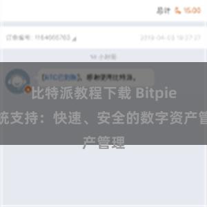 比特派教程下载 Bitpie系统支持：快速、安全的数字资产管理