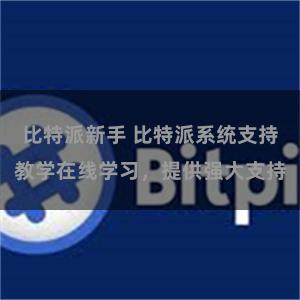 比特派新手 比特派系统支持教学在线学习，提供强大支持