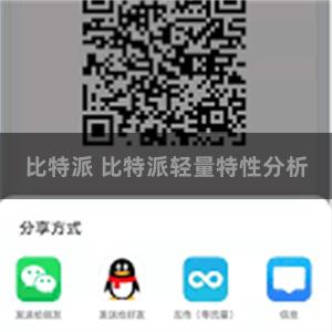 比特派 比特派轻量特性分析