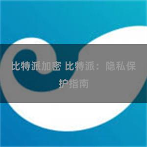 比特派加密 比特派：隐私保护指南