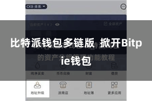 比特派钱包多链版  掀开Bitpie钱包